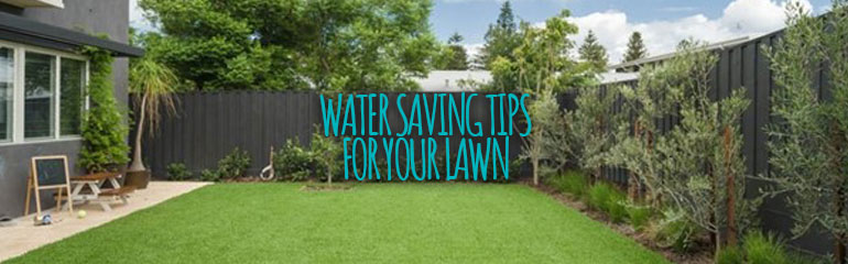 Water Saving Tips for Your Lawn