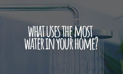 What Uses the Most Water in Your Home?